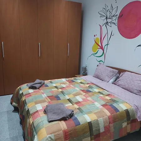 1 Flamingos 圣保罗湾城