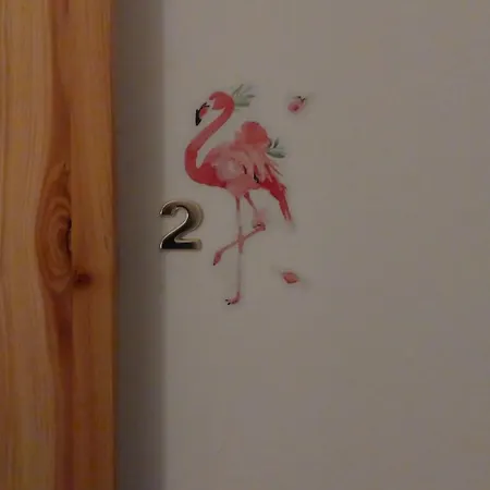 1 Flamingos